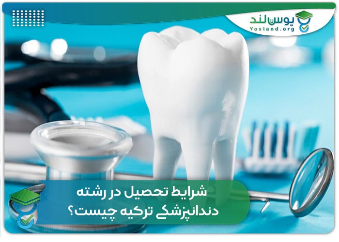 شرایط تحصیل در رشته دندانپزشکی ترکیه چیست؟